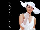 Kaveri Jha